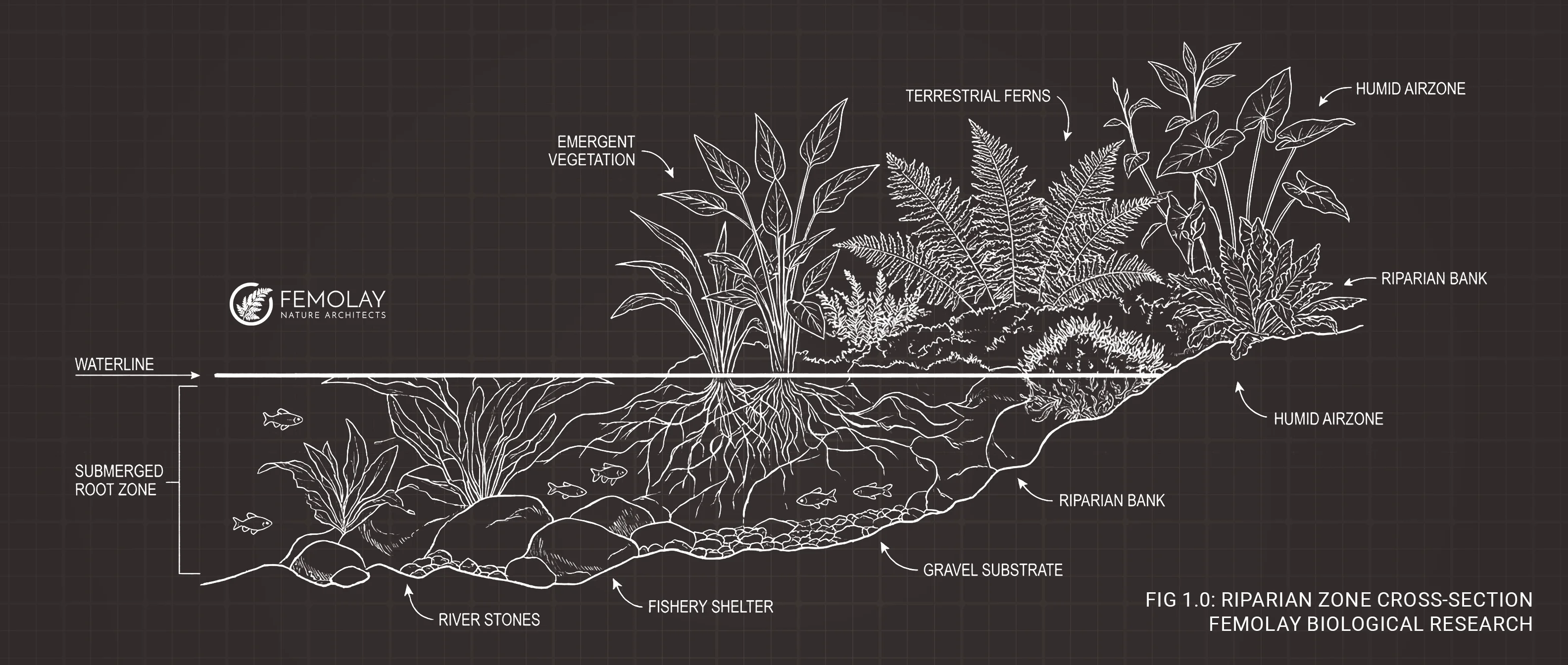 Femolay Flora System Blueprint