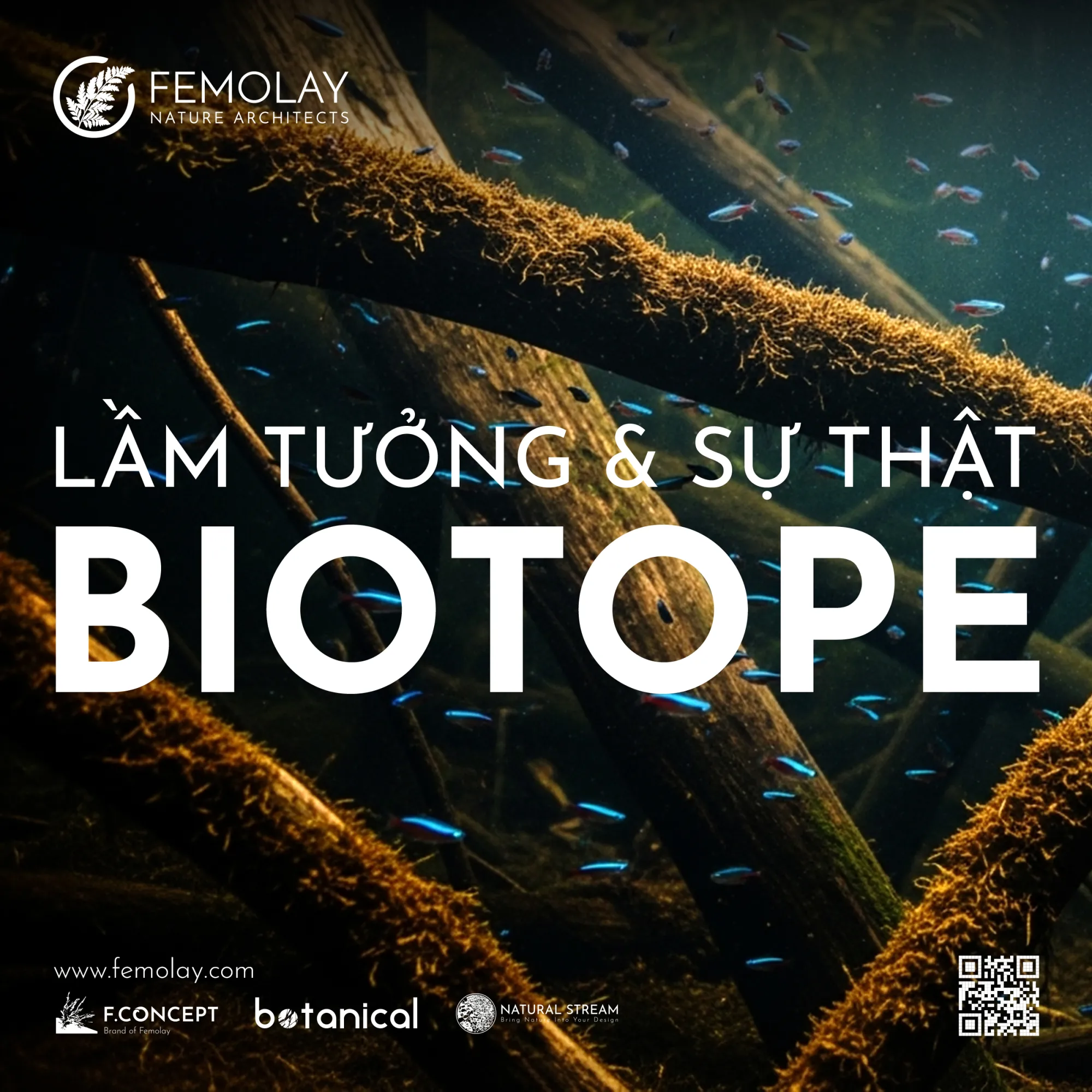 BIOTOPE TOÀN TẬP: TỪ ĐỊNH NGHĨA, LỊCH SỬ ĐẾN TRIẾT LÝ CHƠI