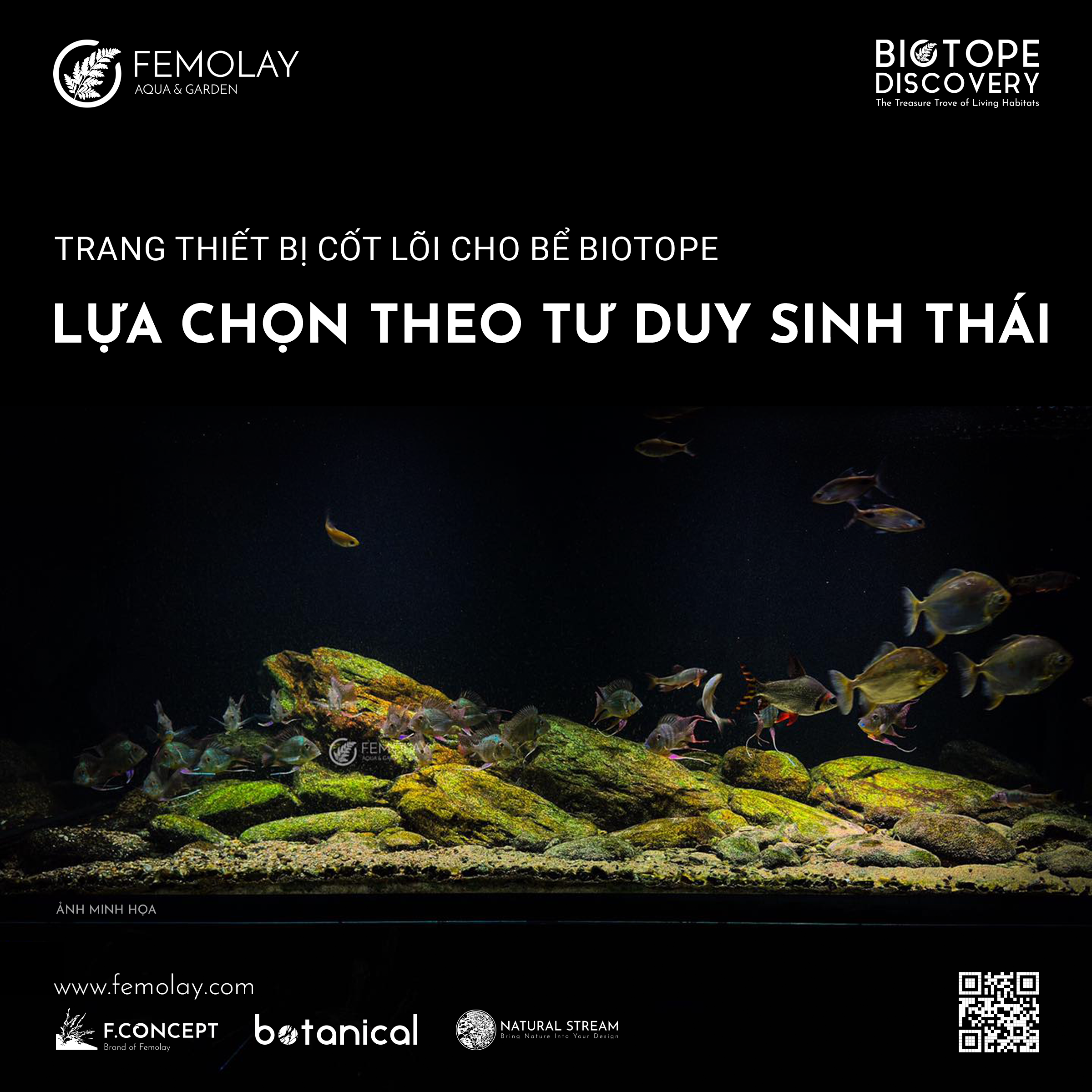 Trang Thiết Bị Cốt Lõi Cho Bể Biotope: Lựa Chọn Theo Tư Duy Sinh Thái