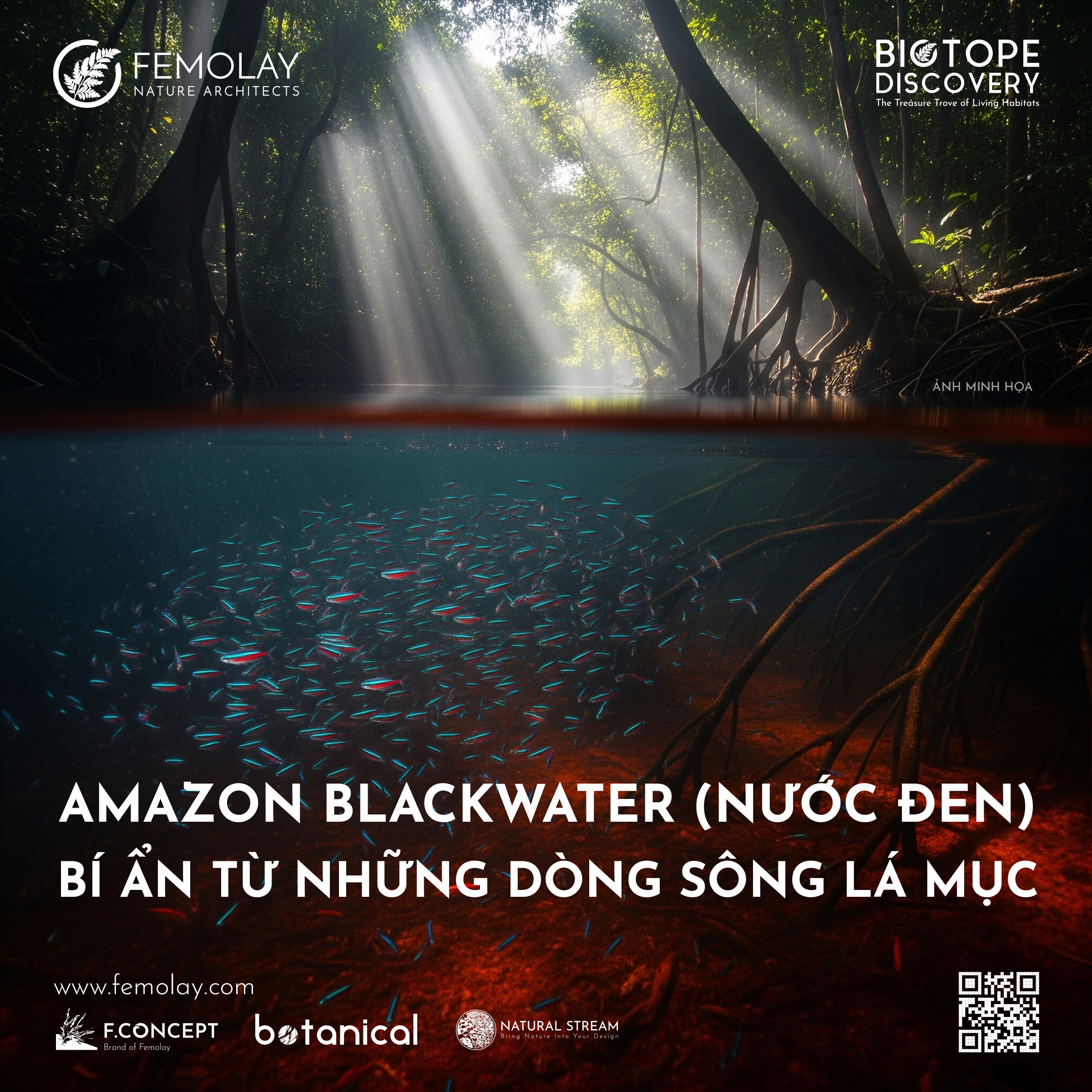 Amazon Blackwater (Nước Đen) - Bí ẩn từ những dòng sông lá mục