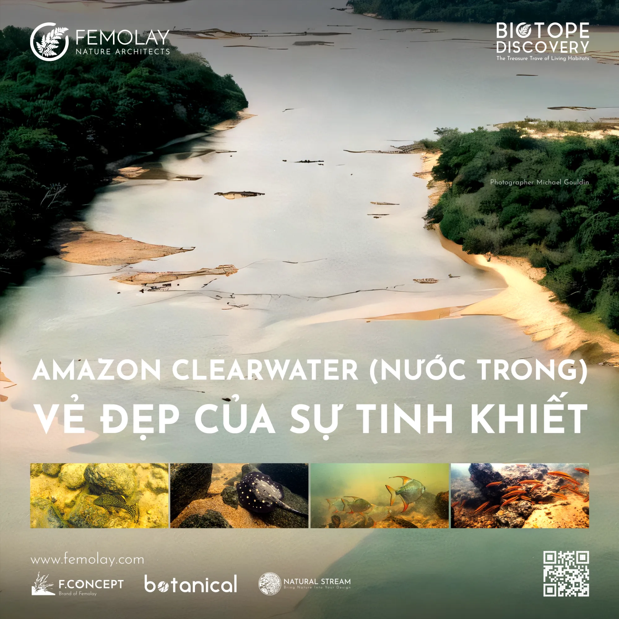 Khám Phá Biotope: Amazon Clearwater - Vẻ Đẹp Của Sự Tinh Khiết (Rio Xingu)